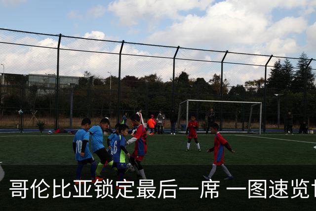 哥伦比亚锁定最后一席 一图速览世界杯16强