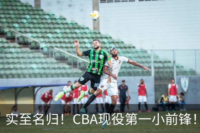 实至名归！CBA现役第一小前锋！张镇麟这也太强了！