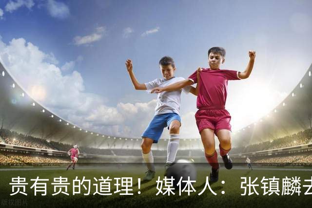 贵有贵的道理！媒体人：张镇麟去年加盟上海转会费投入超5000万